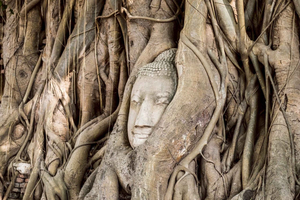 Ayutthaya 5 Temples and a Palace with Longtail & Lunch