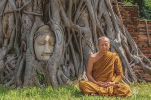 Bangkok : temps forts d'Ayutthaya, voyage privé d'une demi-journée et billet