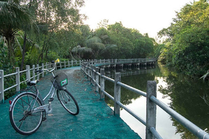 Bang Krachao Green Lung Bike Tour with Lunch