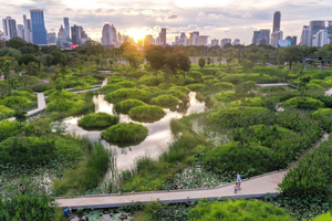 Bangkok Fietsverhuur Benjakitti Park