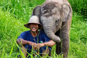 Bangkok: Elephant Sanctuary &Khao Kheow Open Zoo (Moodeng)