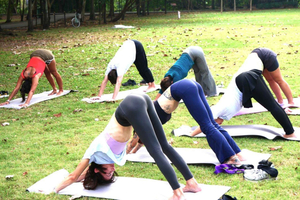 Bangkok: Lumpini Park Yoga Experience