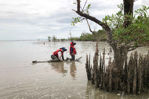 BKK :Meet monkey, mangrove forest, seafood& market -private