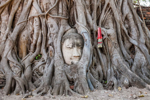From Bangkok: Ayutthaya Private Full-Day UNESCO Trip