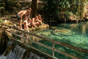Khao Yai National Park Day Trip with Night Safari