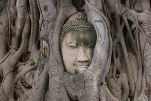 Laem Chabang Port: Bangkok and Ayutthaya 2-Day Guide Tour
