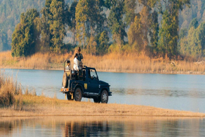 Ranthambore: safari de tigres con guía experto y transporte desde/hasta el hotel