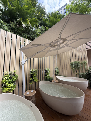 ARAH - Ice bath, Sauna and Hot tub
