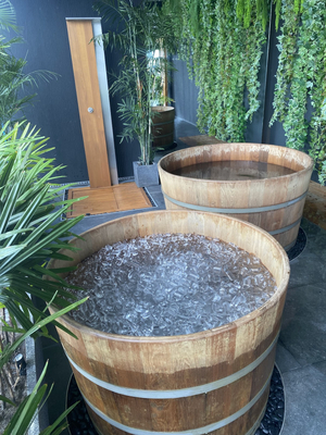 Reset Club Bangkok - rooftop ice bath & sauna