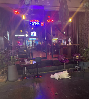 White Rabbit Bar