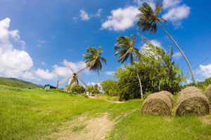 Barbados Highlights Tour