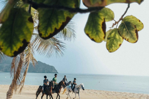 Beach Horse Ride + Swimming + Picnic or Rum Tour