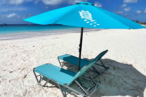 Bridgetown Cruise Port: Carlisle Bay Beach Shuttle & Lounger