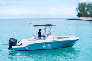 Private Luxury Boat Tour With Turtle Snorkeling