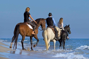 Saint John: Horseback Ride and Farm-to-Table Caribbean Meal