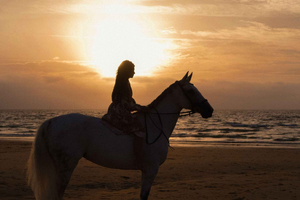 Saint John: Private Sunset Horseback Riding Experience