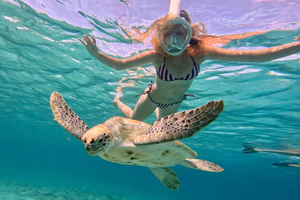 Small-Group Catamaran Cruise with Snorkeling