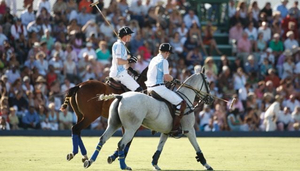 Polo i Barbados