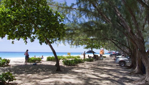 Topp 10 - Piknikstrender på Barbados