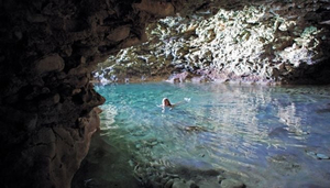 Animal Flower Cave