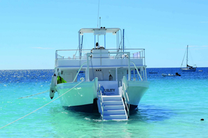 Carlisle Bay Beach Day and Turtle Swim Experience