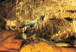 Harrison's Cave
