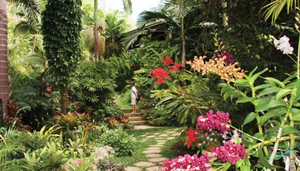 Hunte's Gardens