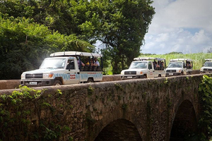 Island Safari Barbados