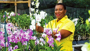Northern Flower Shoppe