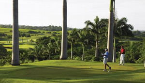 Royal Westmoreland