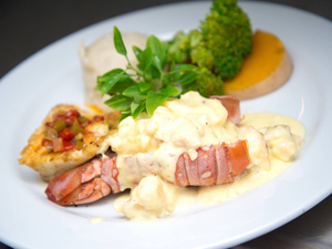 Seahorse Seafood Restaurant & Bar
