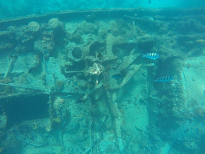 Tranquility Cruises