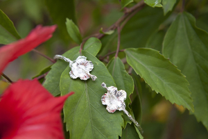 Tropicana Jewellers