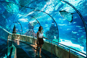 Barcelona Aquarium: Entrébillet