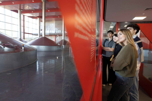 Barcelona: tour guiado a la fábrica de cerveza Estrella Damm con degustación