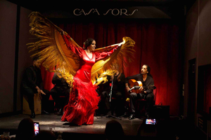 Barcelona: Flamenco Premium Show en Tour Gitaarmuseum