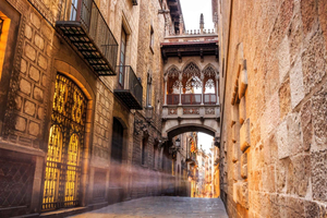 Barcelona Gothic Quarter Private Walking Tour