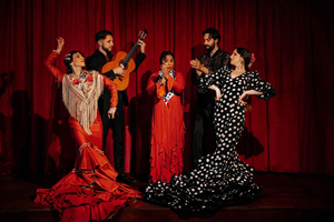 Barcelona: La Laietana Flamenco Show Ticket