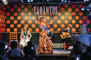 Barcelona, Spanien Los Tarantos flamencoshow