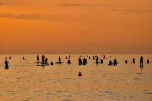 Barcelona: Paddleboard ao Amanhecer. Inclui: professor, fotos, material