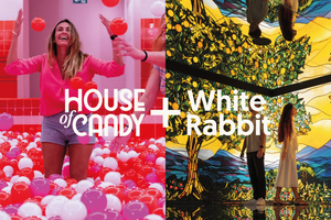 Barcelona Pass: комбинированный билет White Rabbit & House of Candy