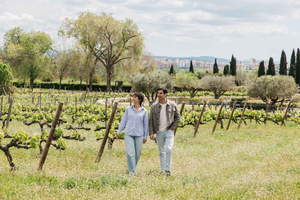 Barcelona-Penedès: Familia Torres vin- og tapas-vingårdstur