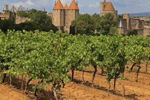 Carcassonne & Girona Sightseeing Tour