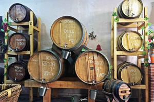 Culinary Backstreets - Bodega's Barrio Tradition