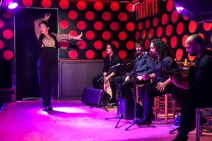 Barrio Gótico y espectáculo de flamenco