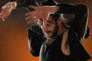 La Perla del Born - Flamenco Shows
