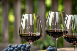 Luxury Boutique and Family Winery Experience in Penedès from Barcelona