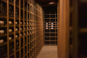 Luxury Cava & Sparkling Wine Experience in the Penedès from Barcelona
