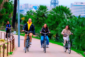 Excursão Panorâmica de Bicicleta Elétrica pelos Mirantes e Jardins de Montjuïc
