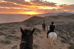 Porto Santo: Sunset Horse Ride to Whale Lookout